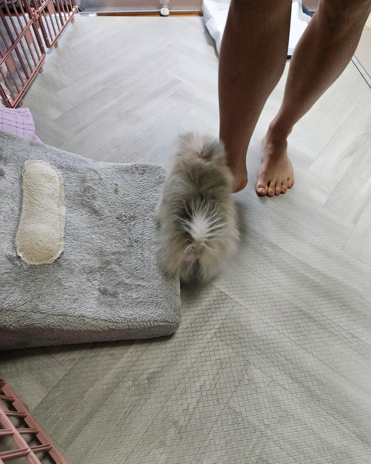 리뷰 사진 1