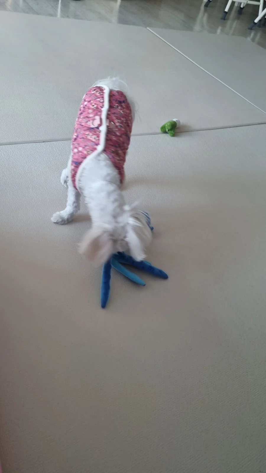 리뷰 사진 1