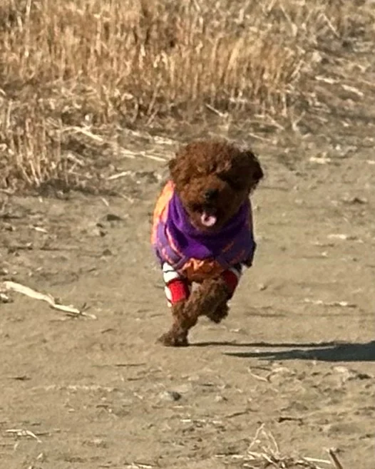 리뷰 사진 1
