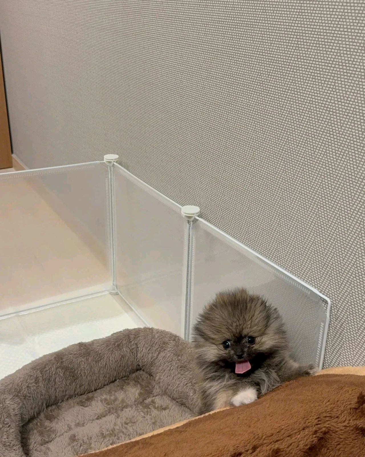 리뷰 사진 1
