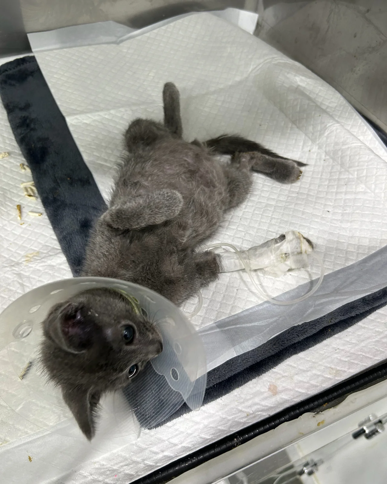 리뷰 사진 1