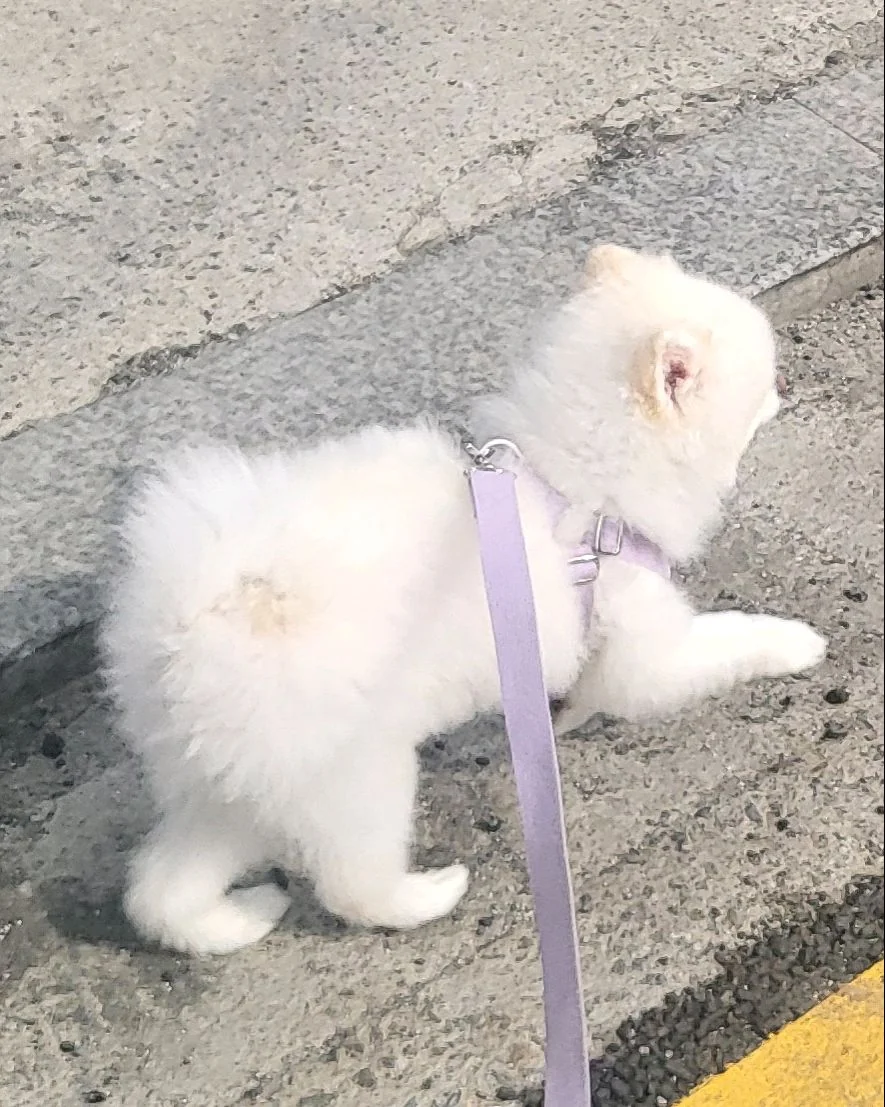 리뷰 사진 1
