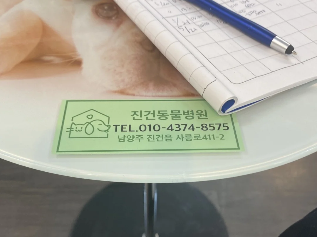 진건동물병원 사진 2