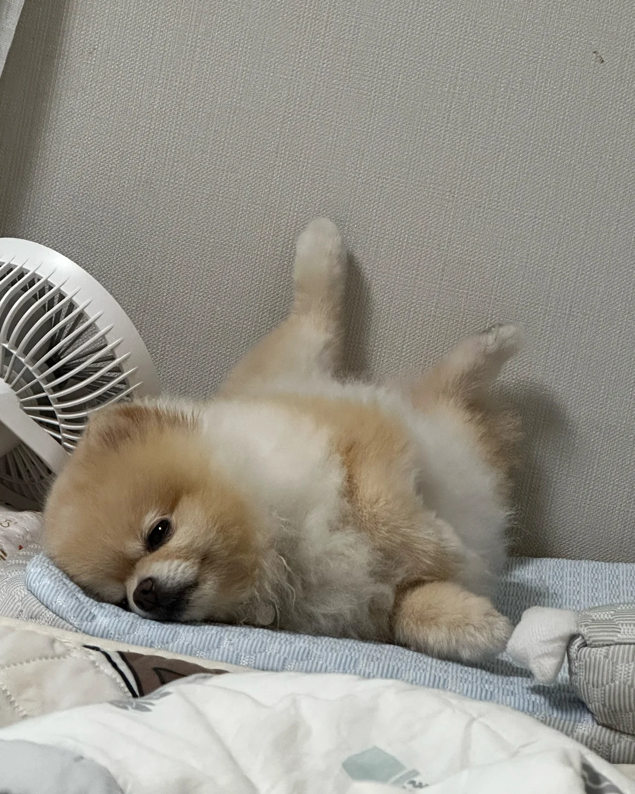 리뷰 사진 1
