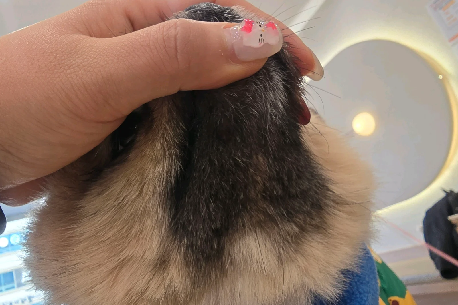 리뷰 사진 1