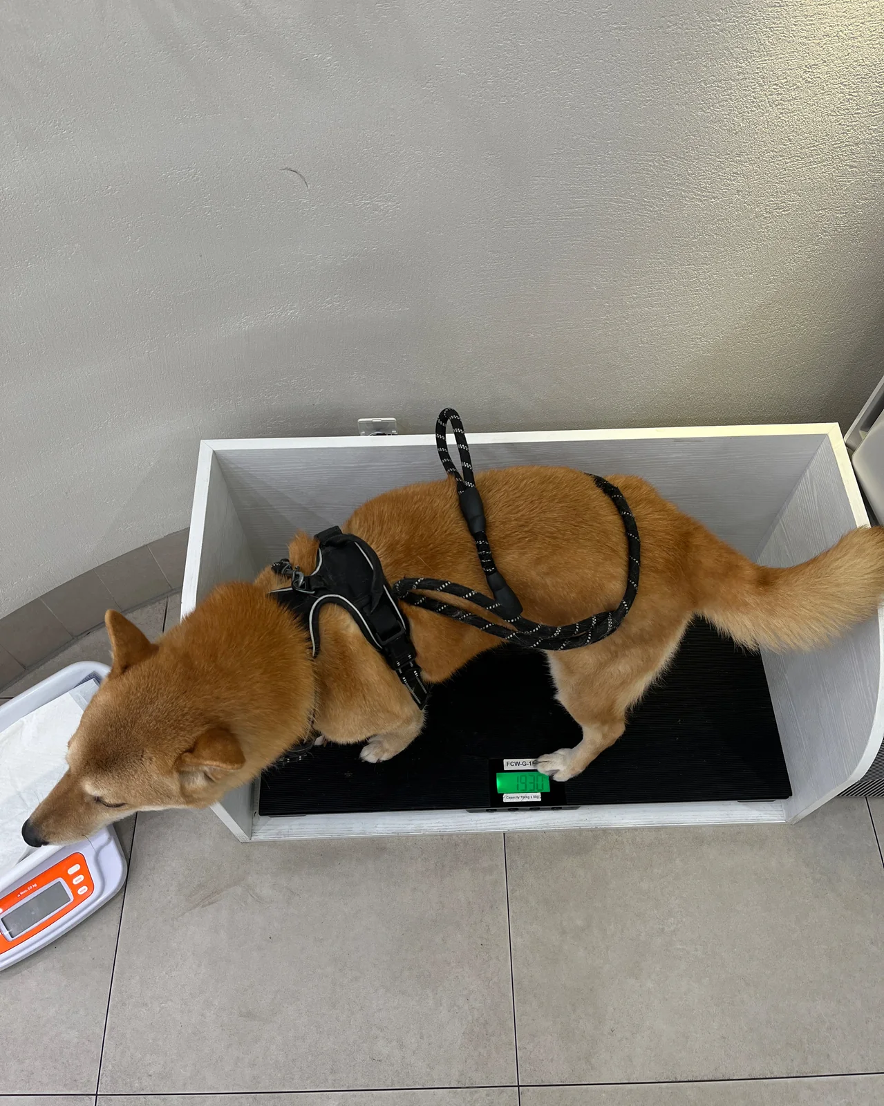 리뷰 사진 1