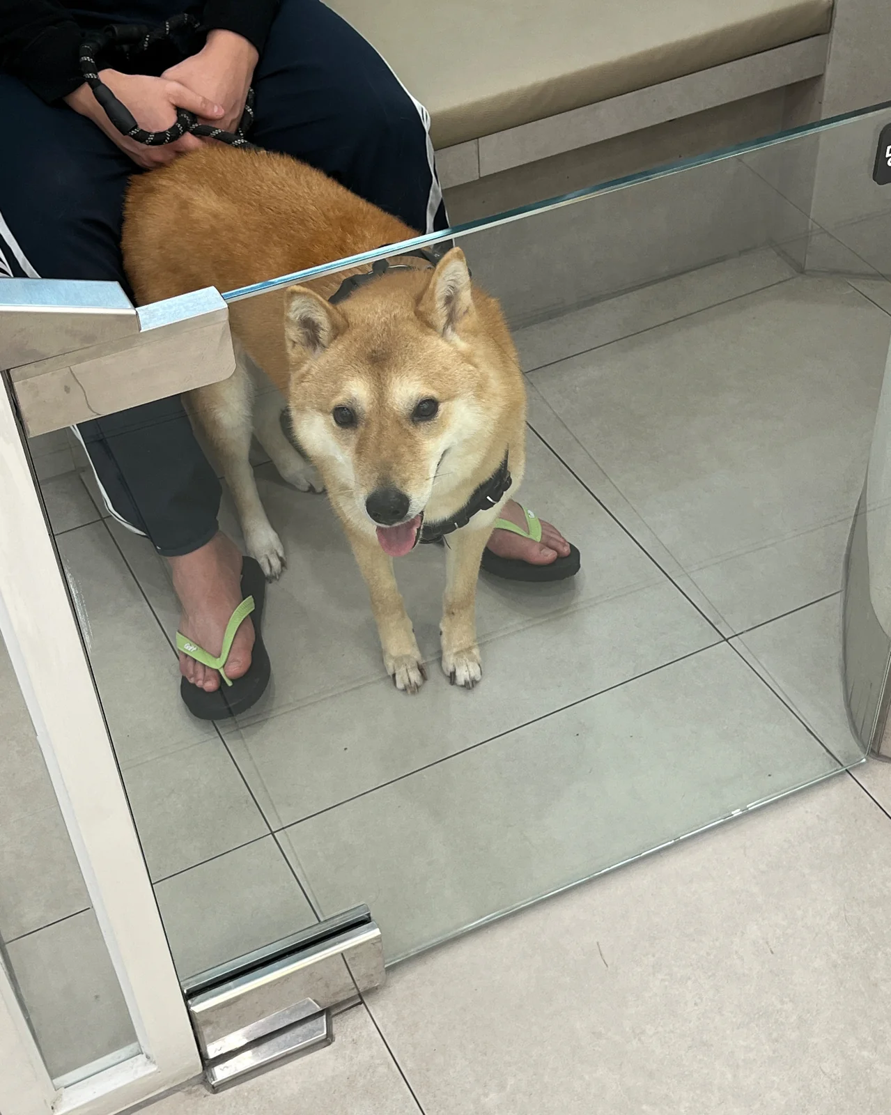 리뷰 사진 1