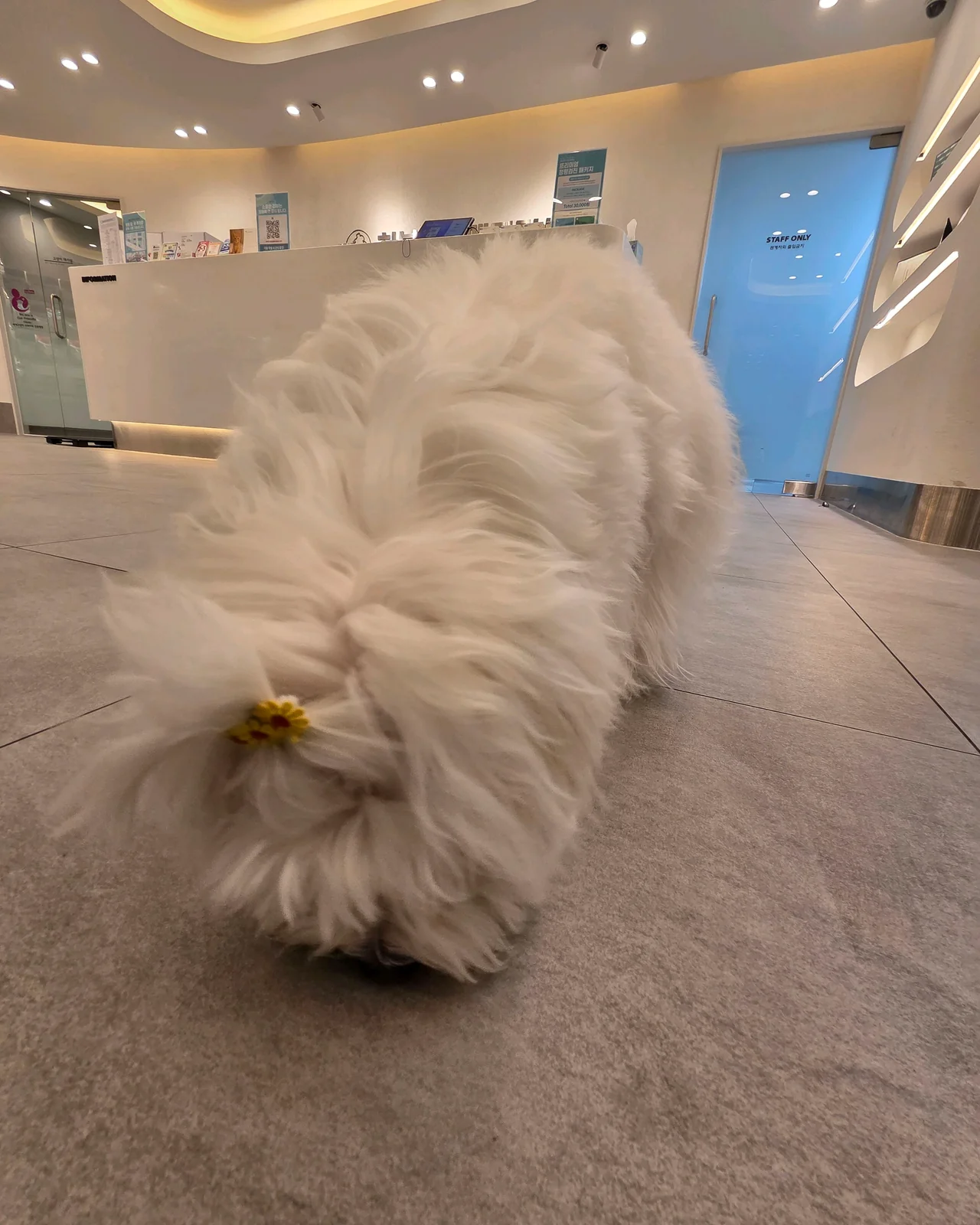 리뷰 사진 2
