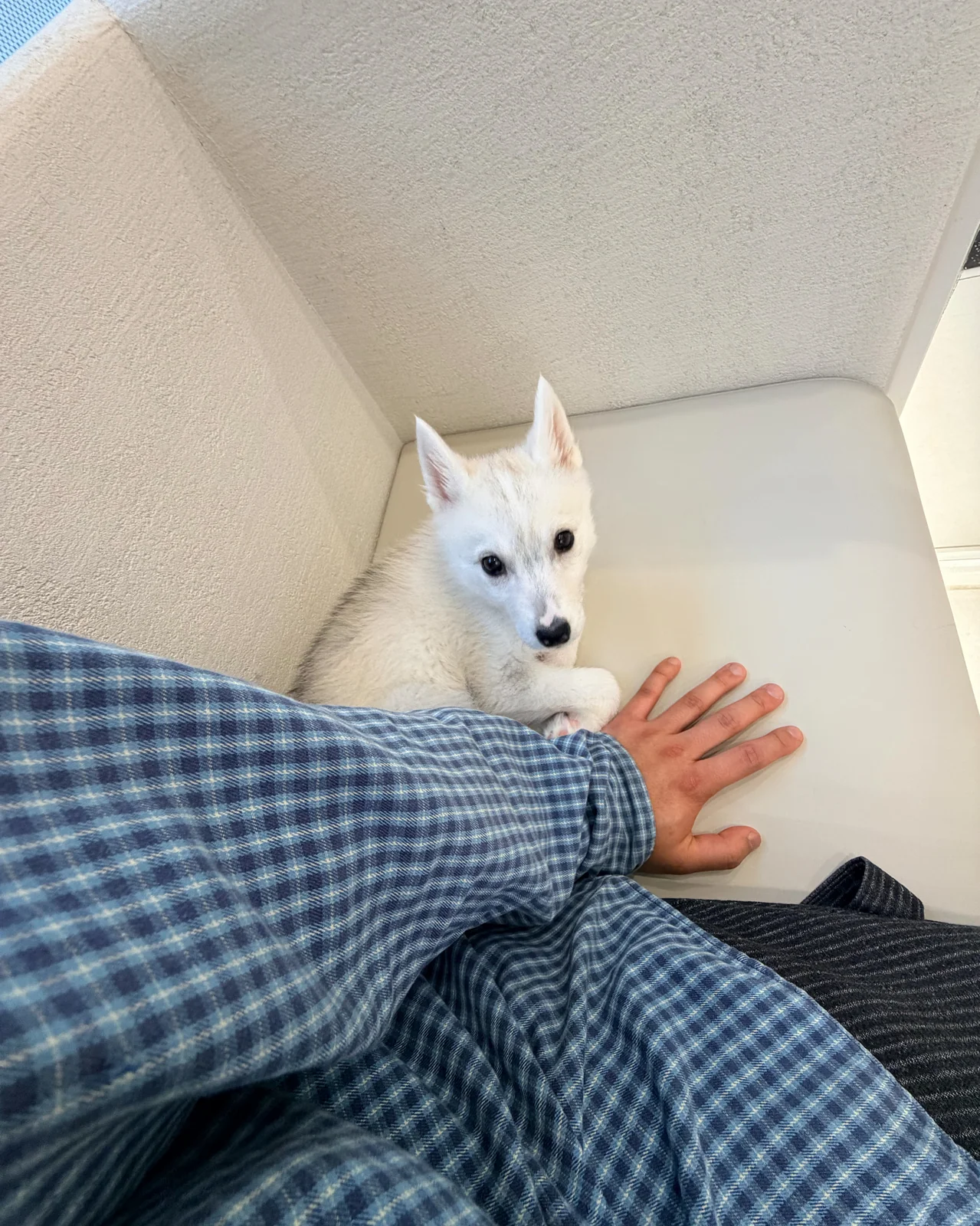 리뷰 사진 2