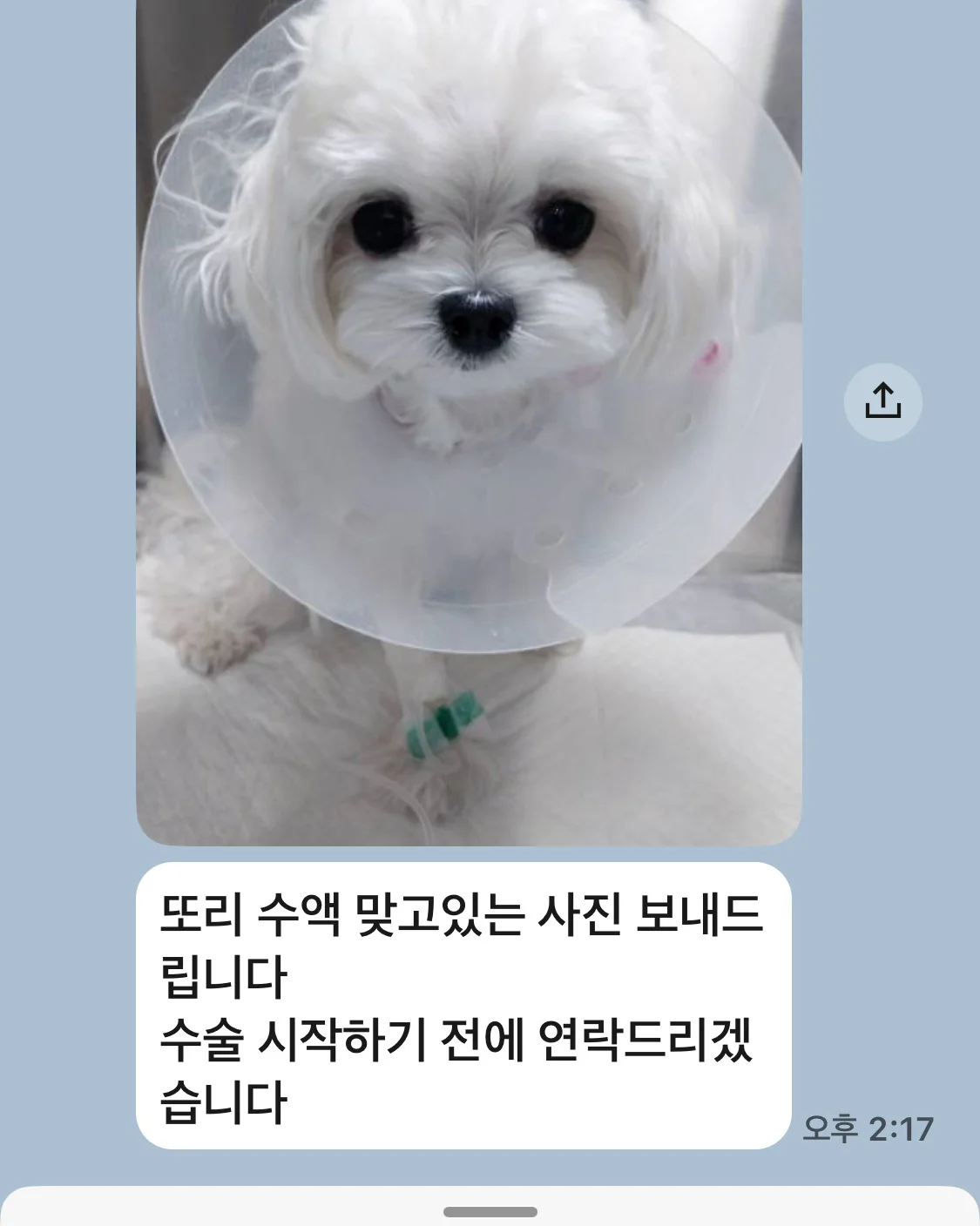 리뷰 사진 1
