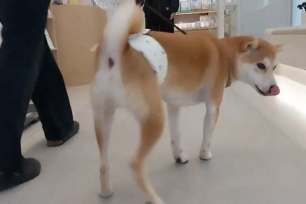 리뷰 사진 1