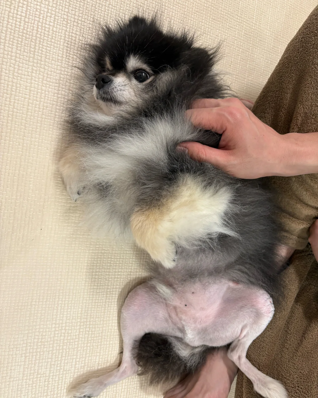 리뷰 사진 3