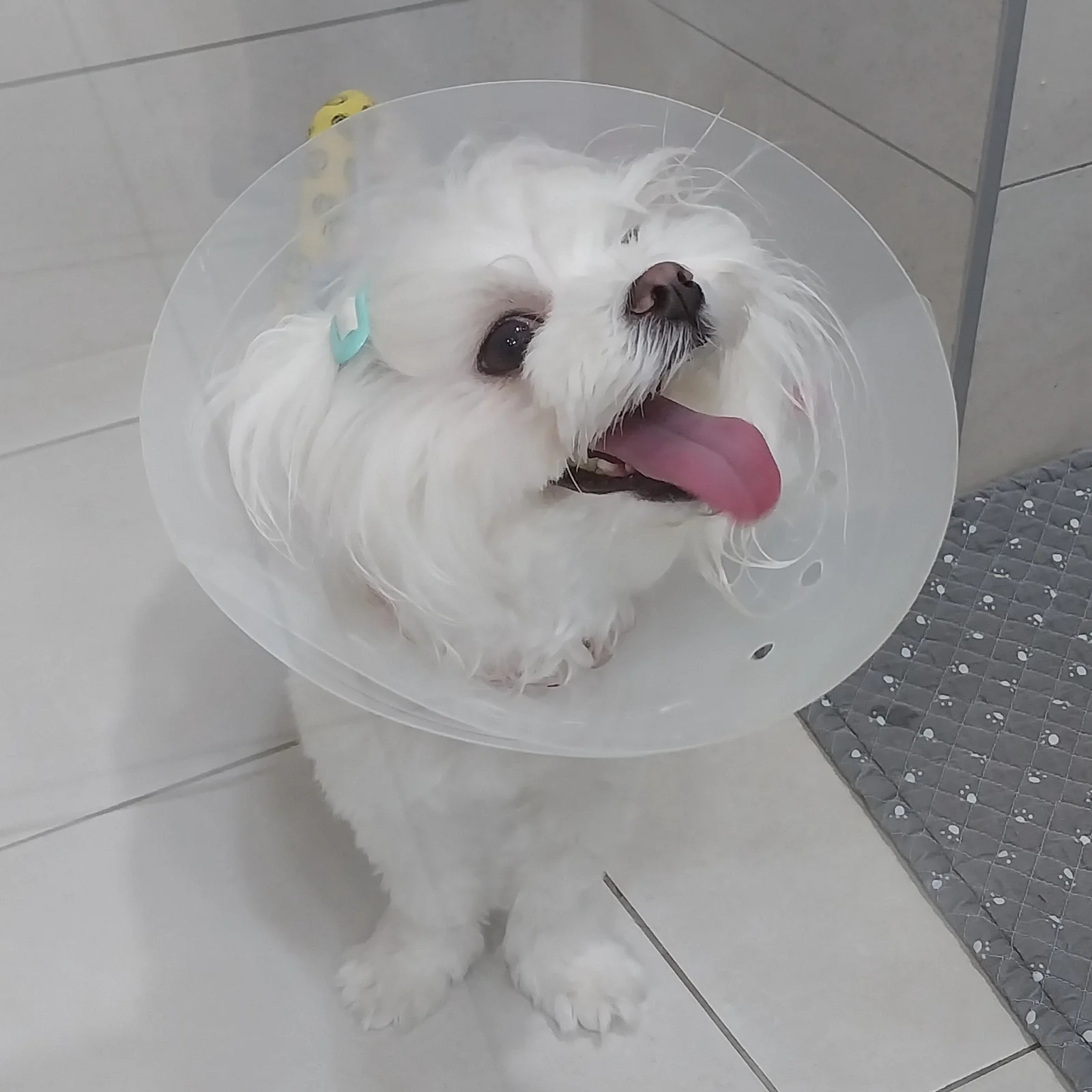 리뷰 사진 2