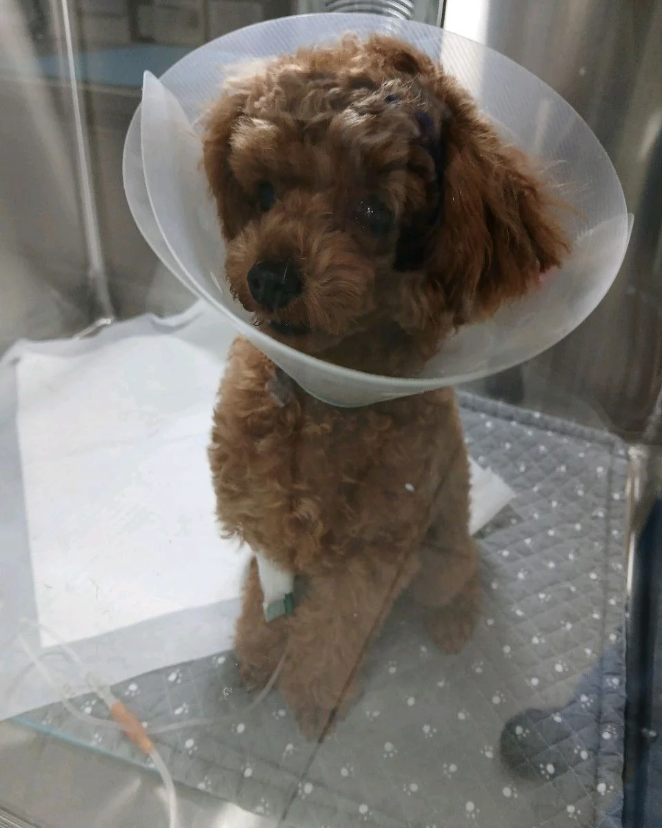 리뷰 사진 1