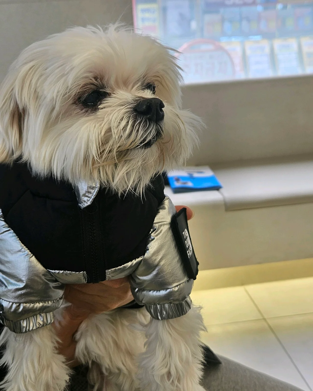 리뷰 사진 1