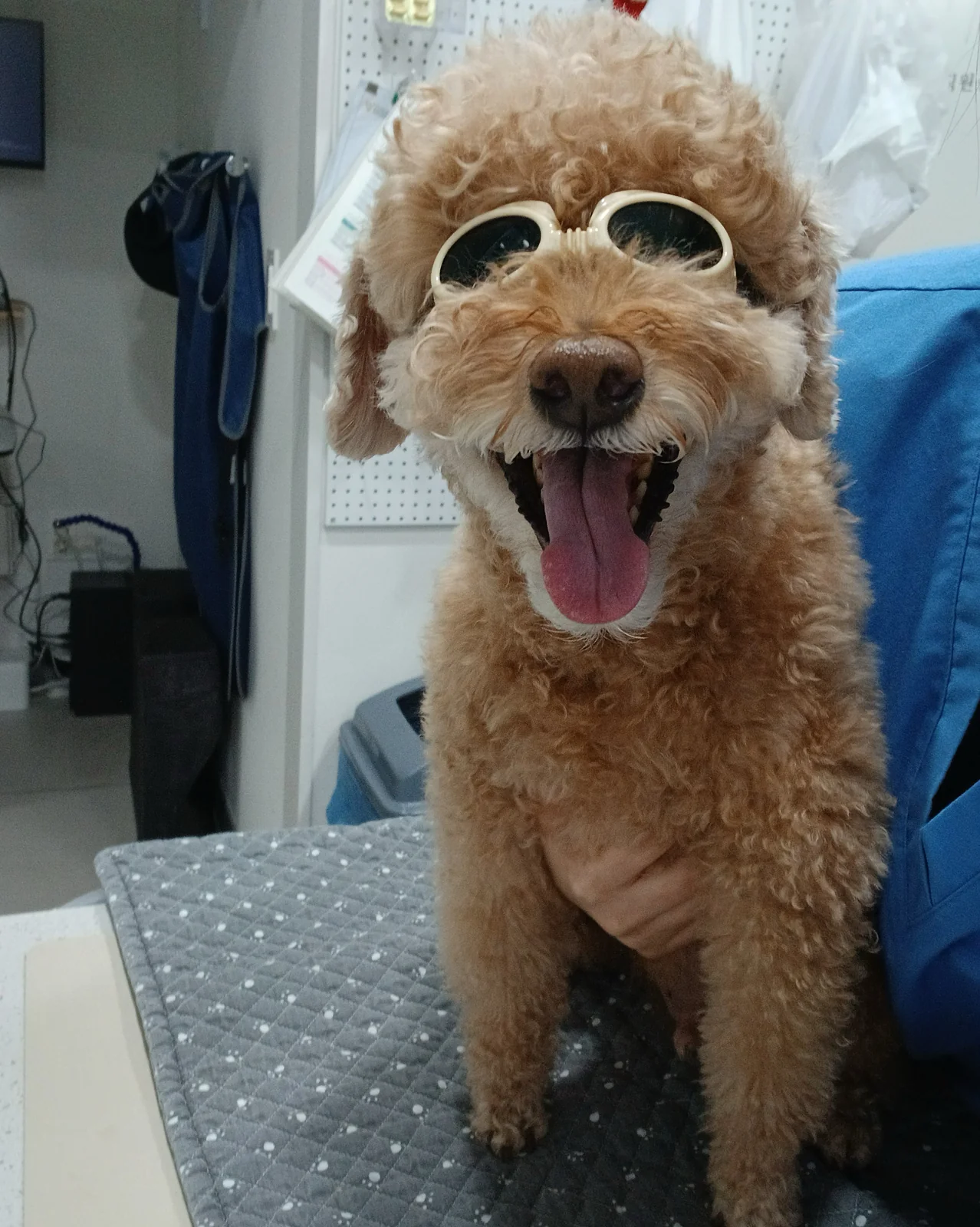 리뷰 사진 1
