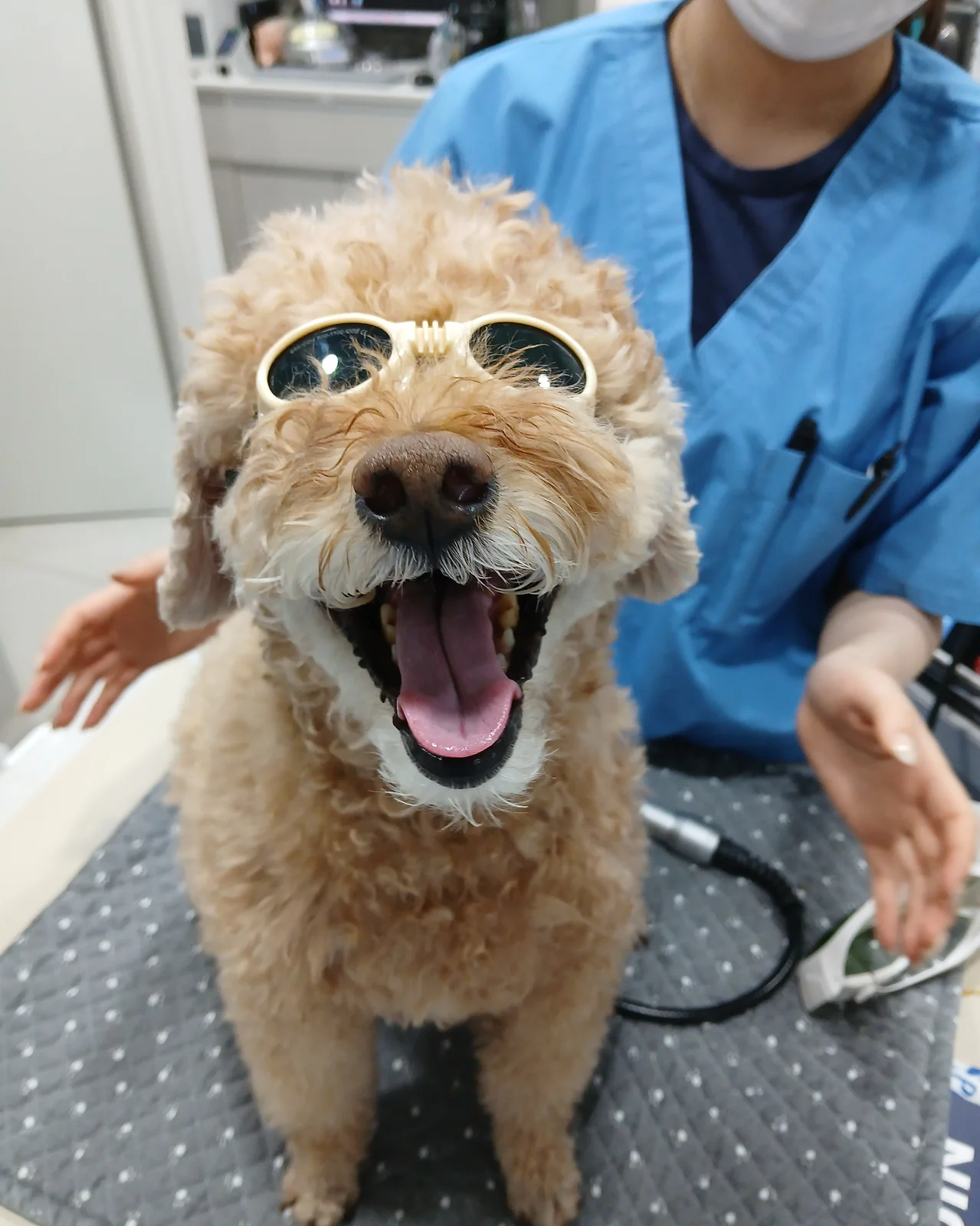 리뷰 사진 2