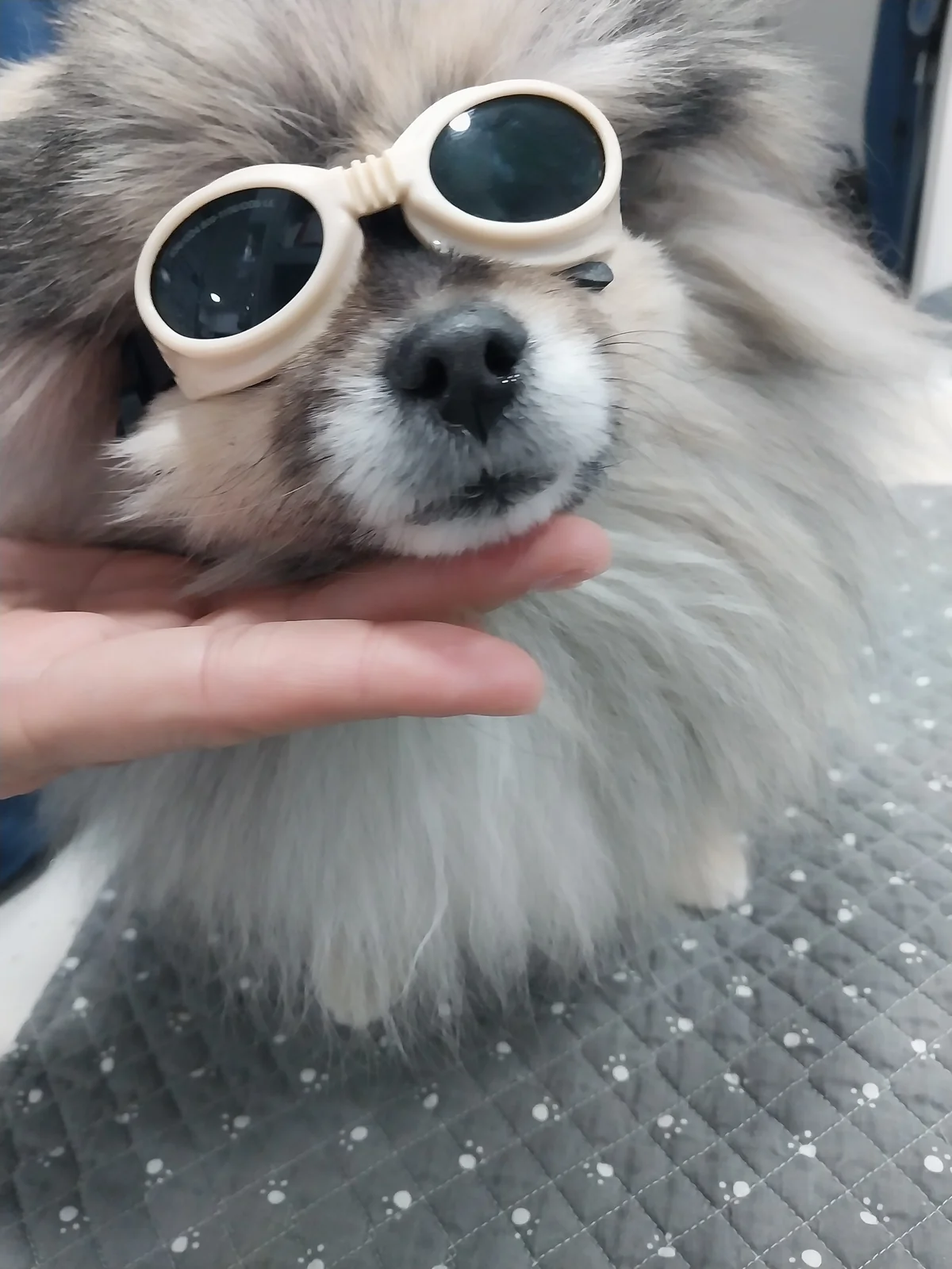 리뷰 사진 1