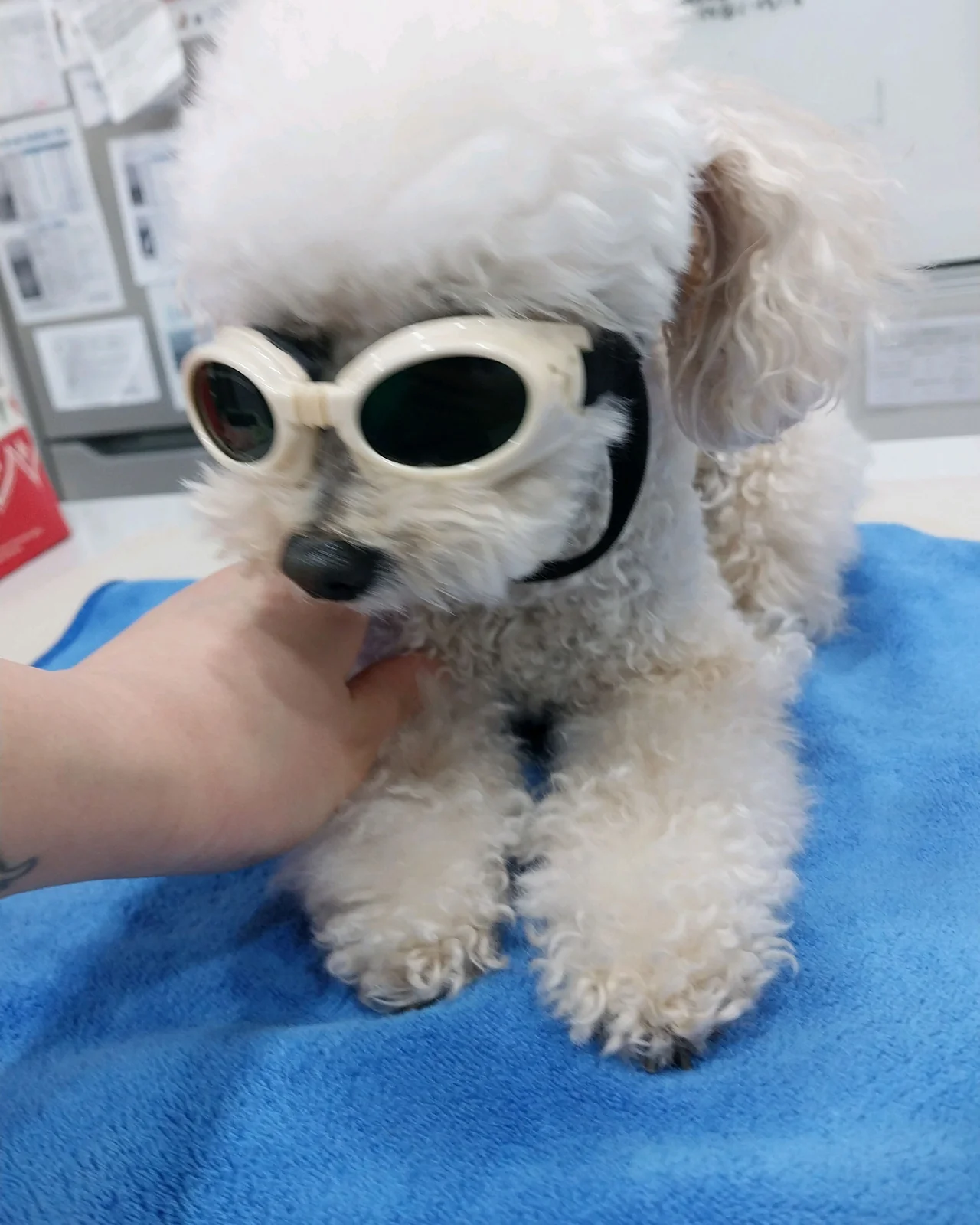 리뷰 사진 1