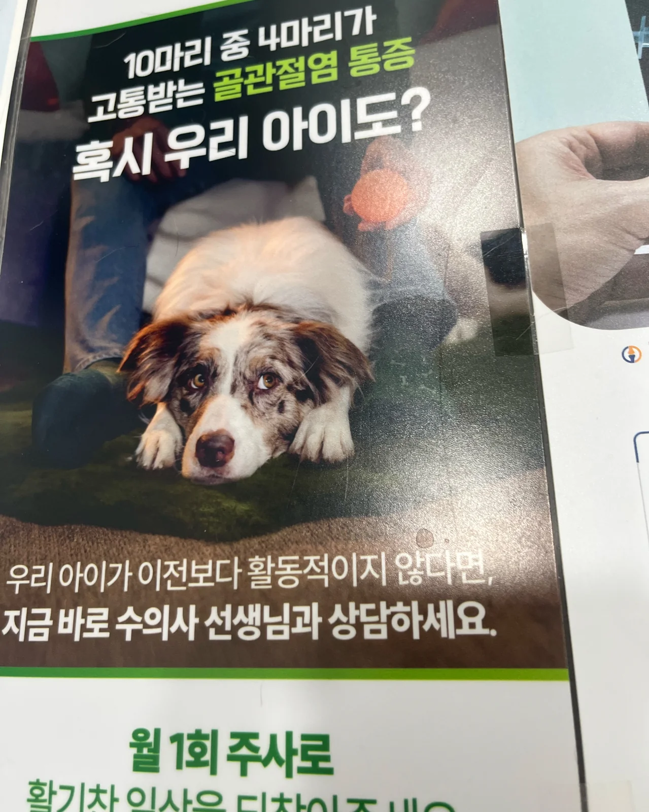 리뷰 사진 2