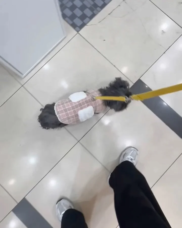 리뷰 사진 3