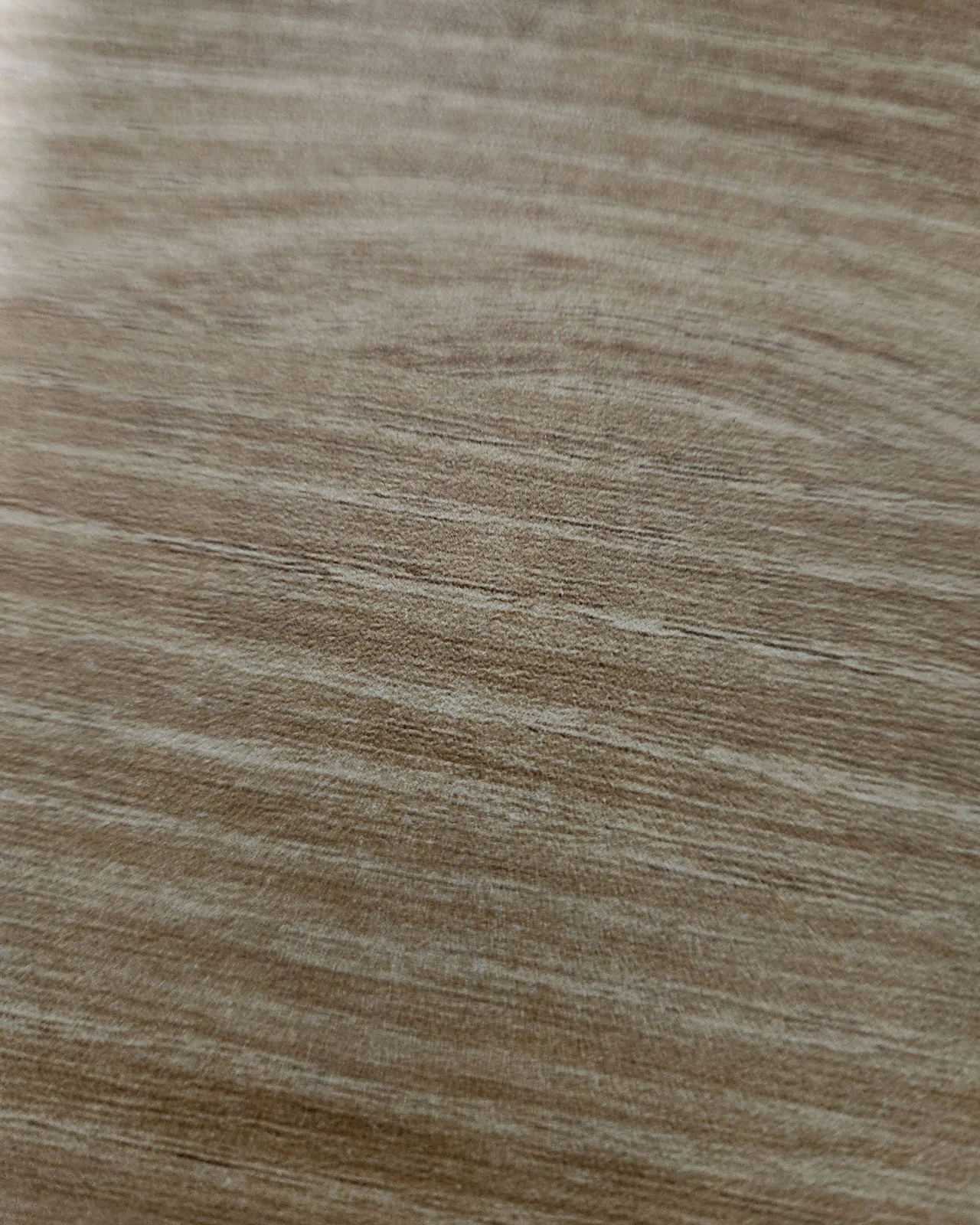 나루동물병원 사진 2