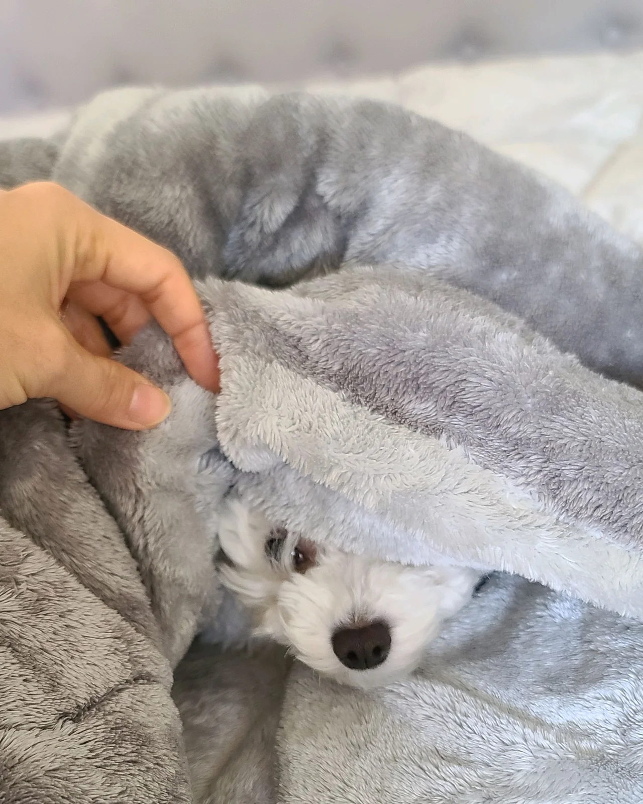 리뷰 사진 1