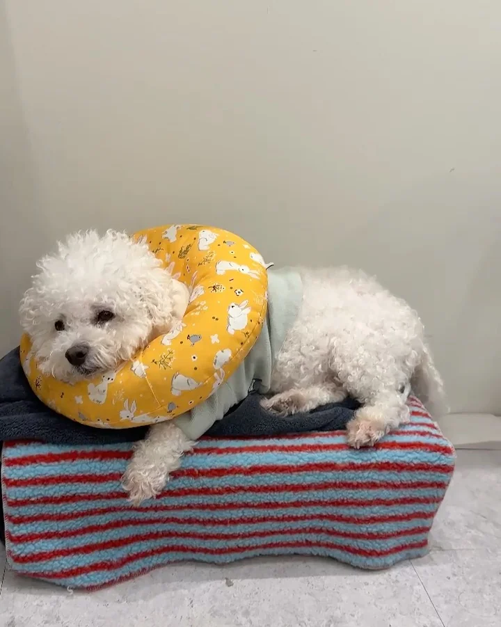 리뷰 사진 1