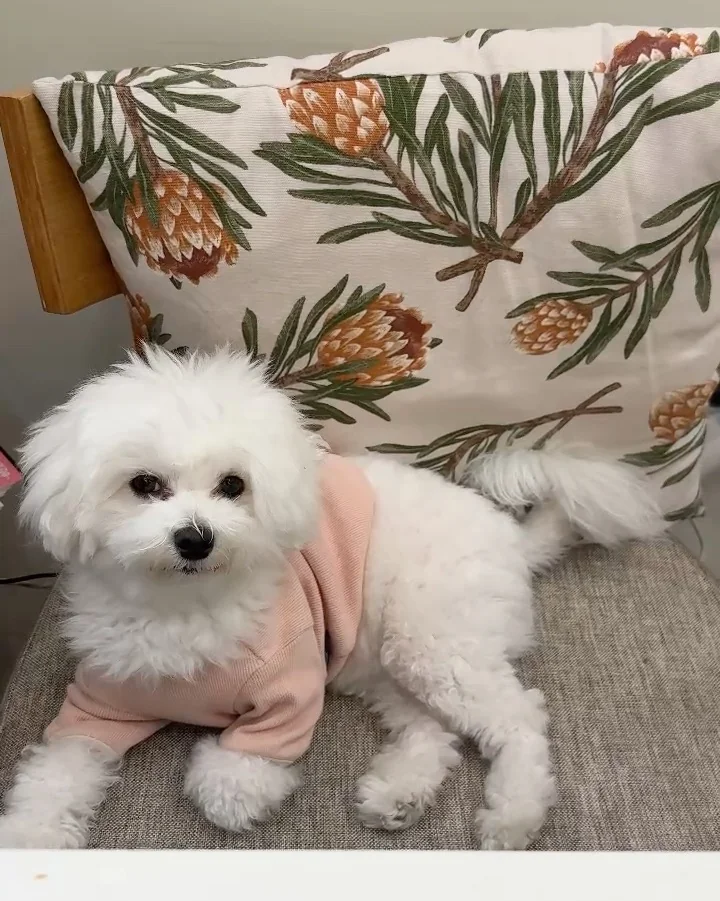 리뷰 사진 2