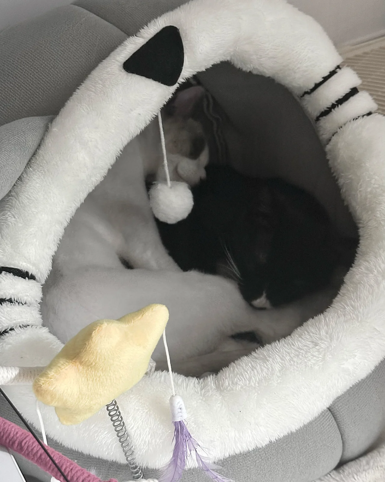 리뷰 사진 1