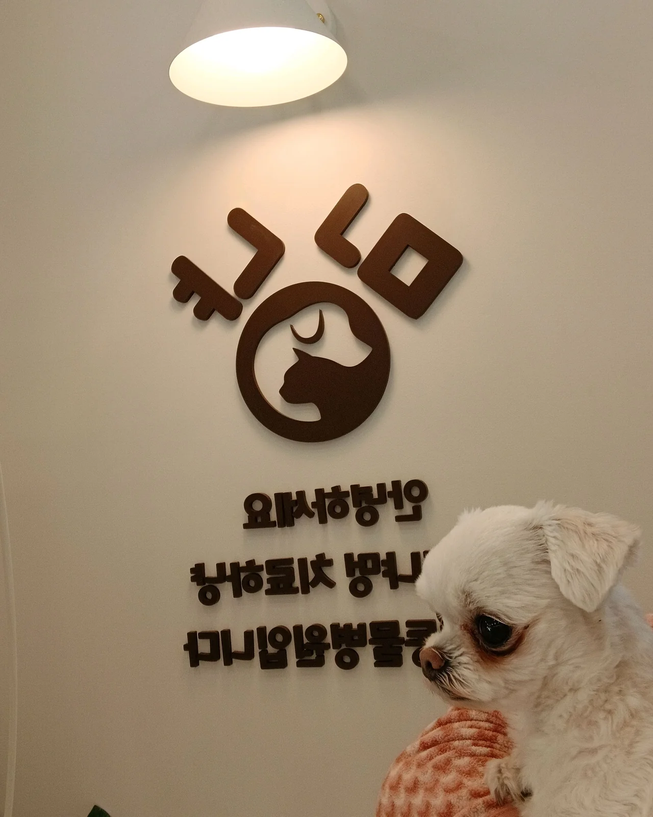 리뷰 사진 1