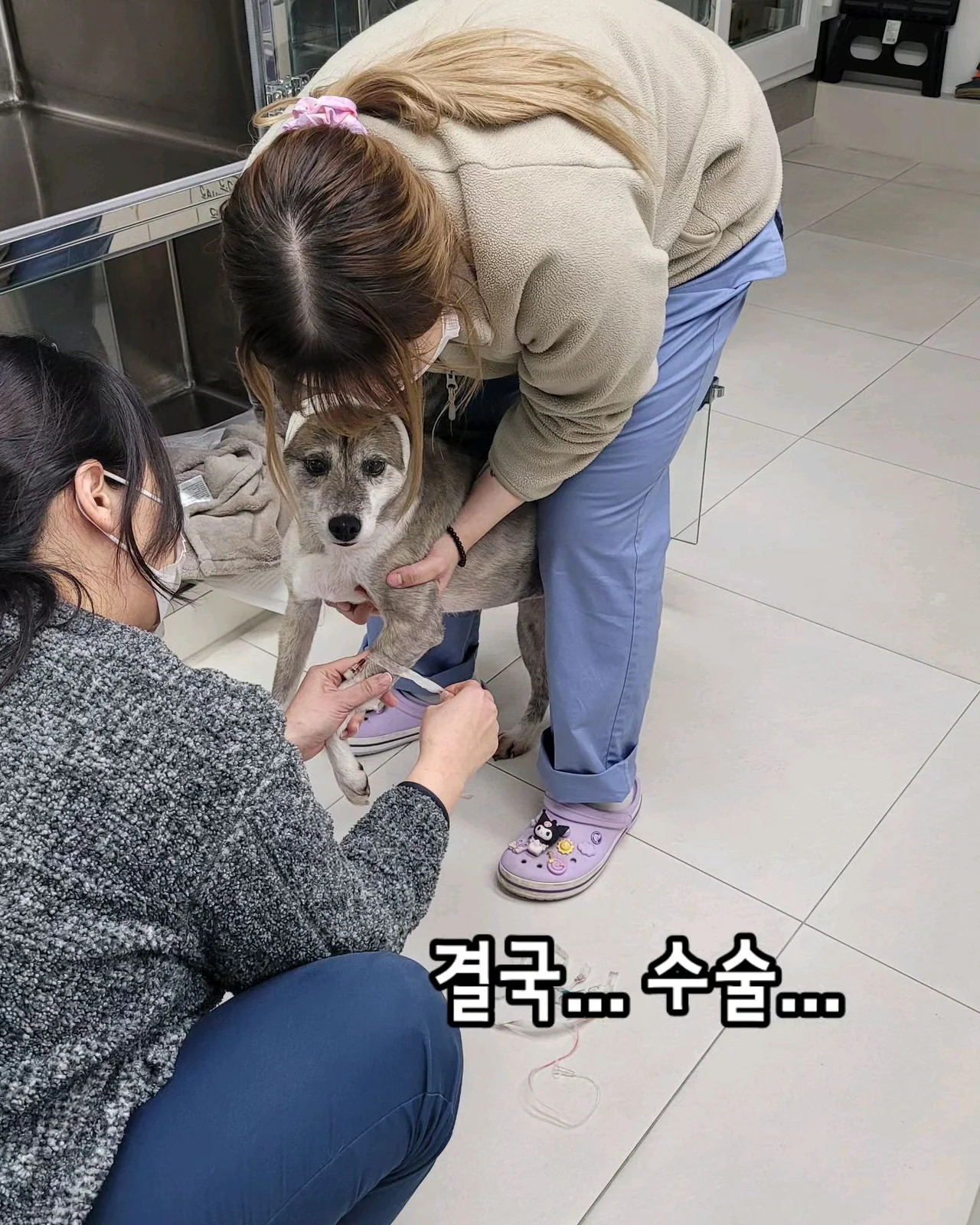 리뷰 사진 1