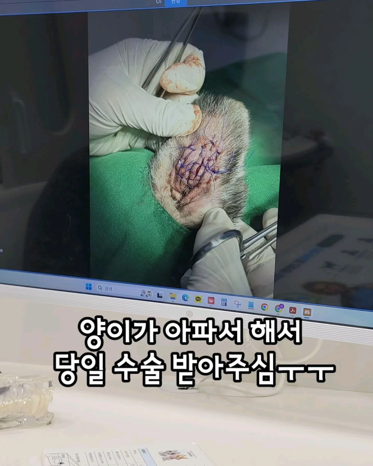 리뷰 사진 2