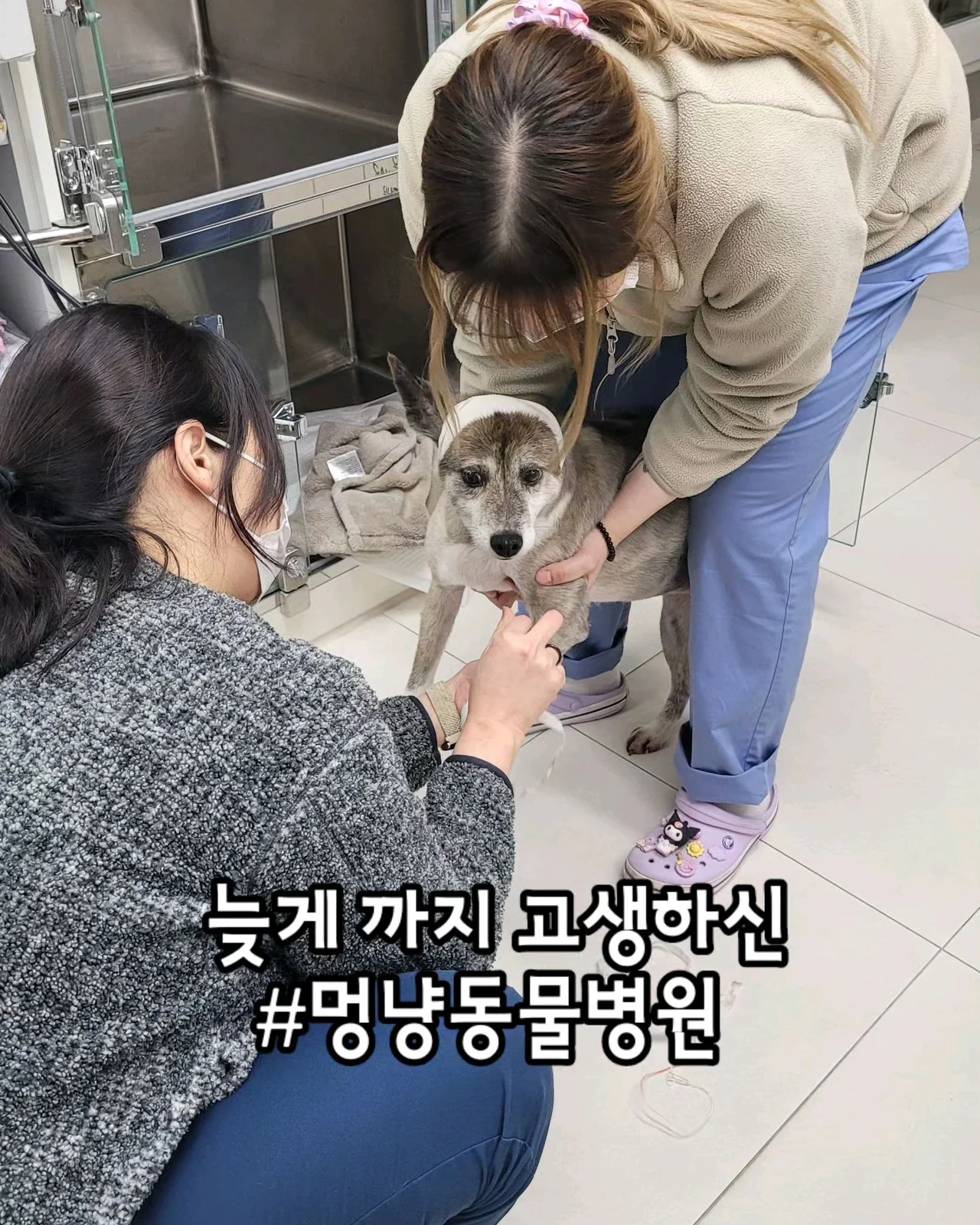 리뷰 사진 3