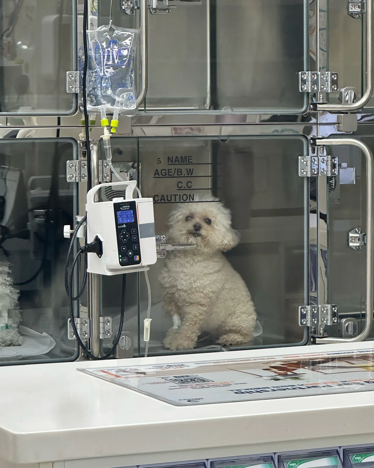 리뷰 사진 1
