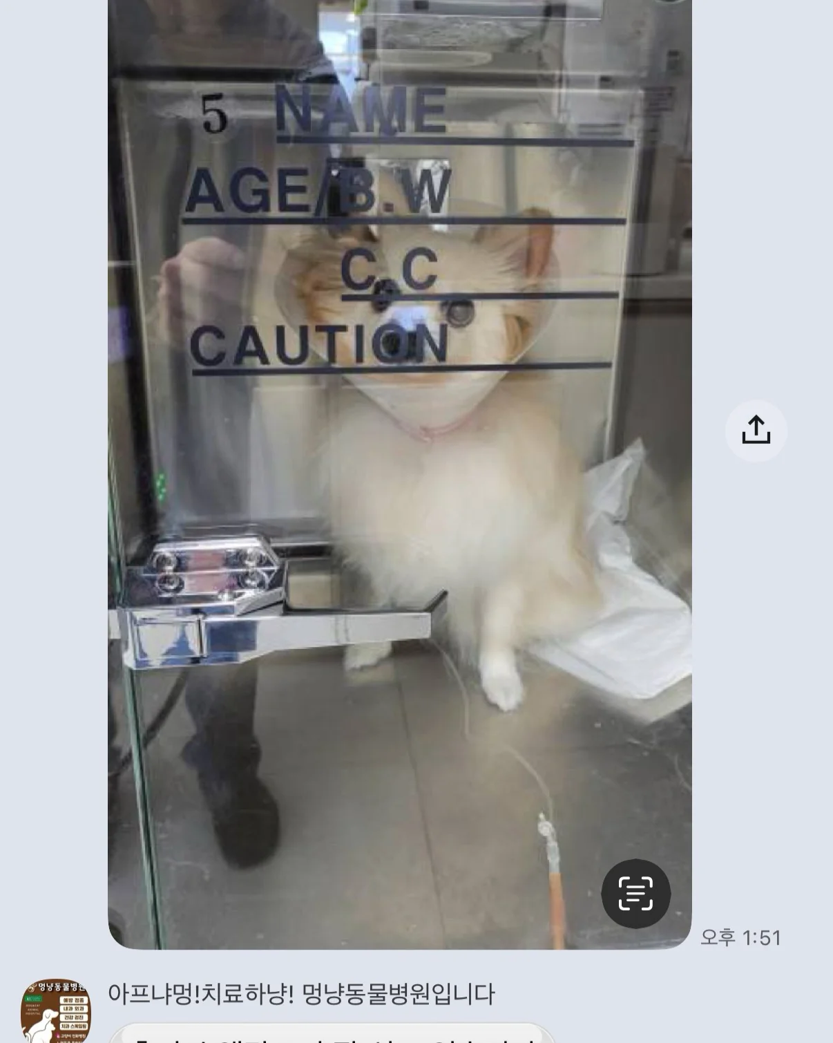 리뷰 사진 1
