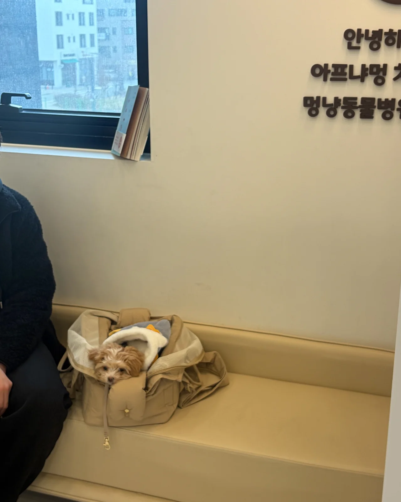 리뷰 사진 2