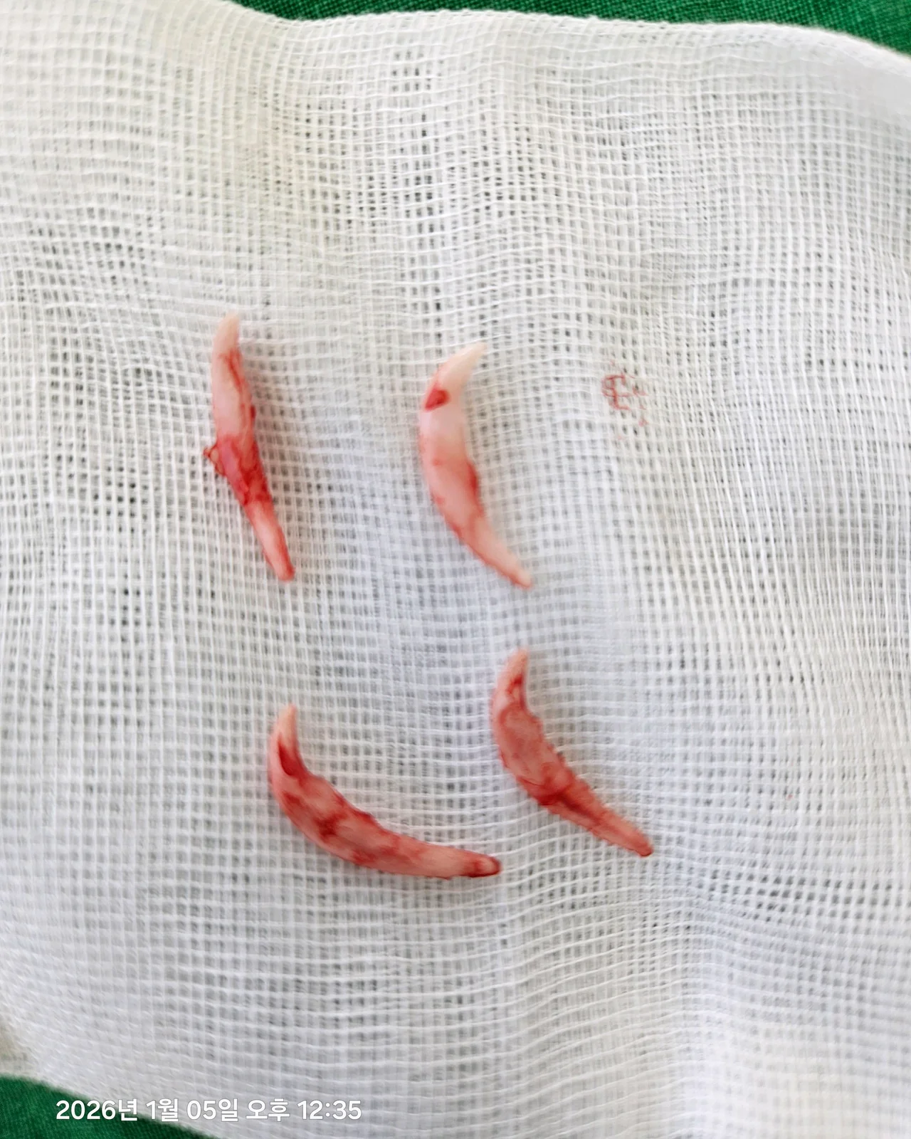 리뷰 사진 2