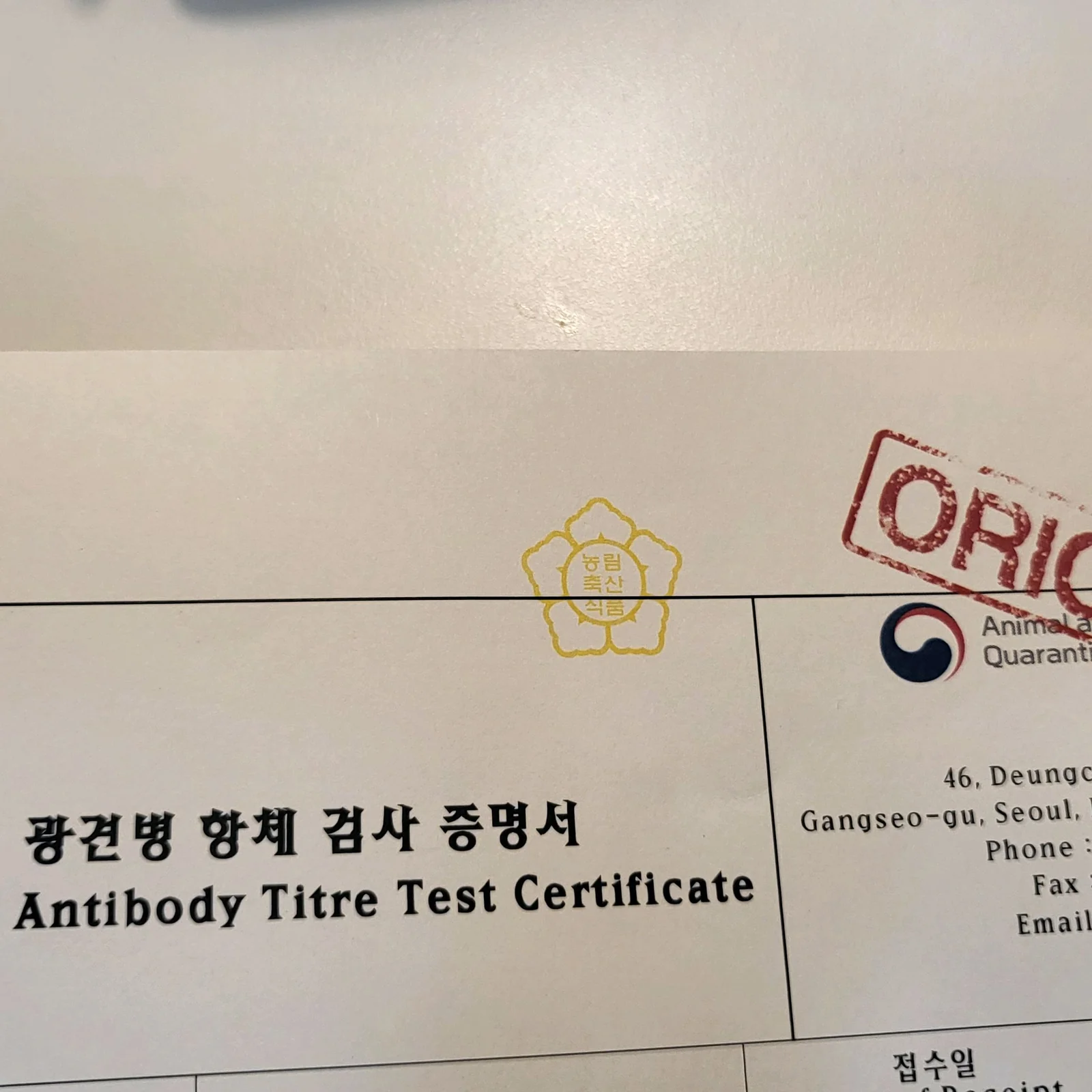 리뷰 사진 1