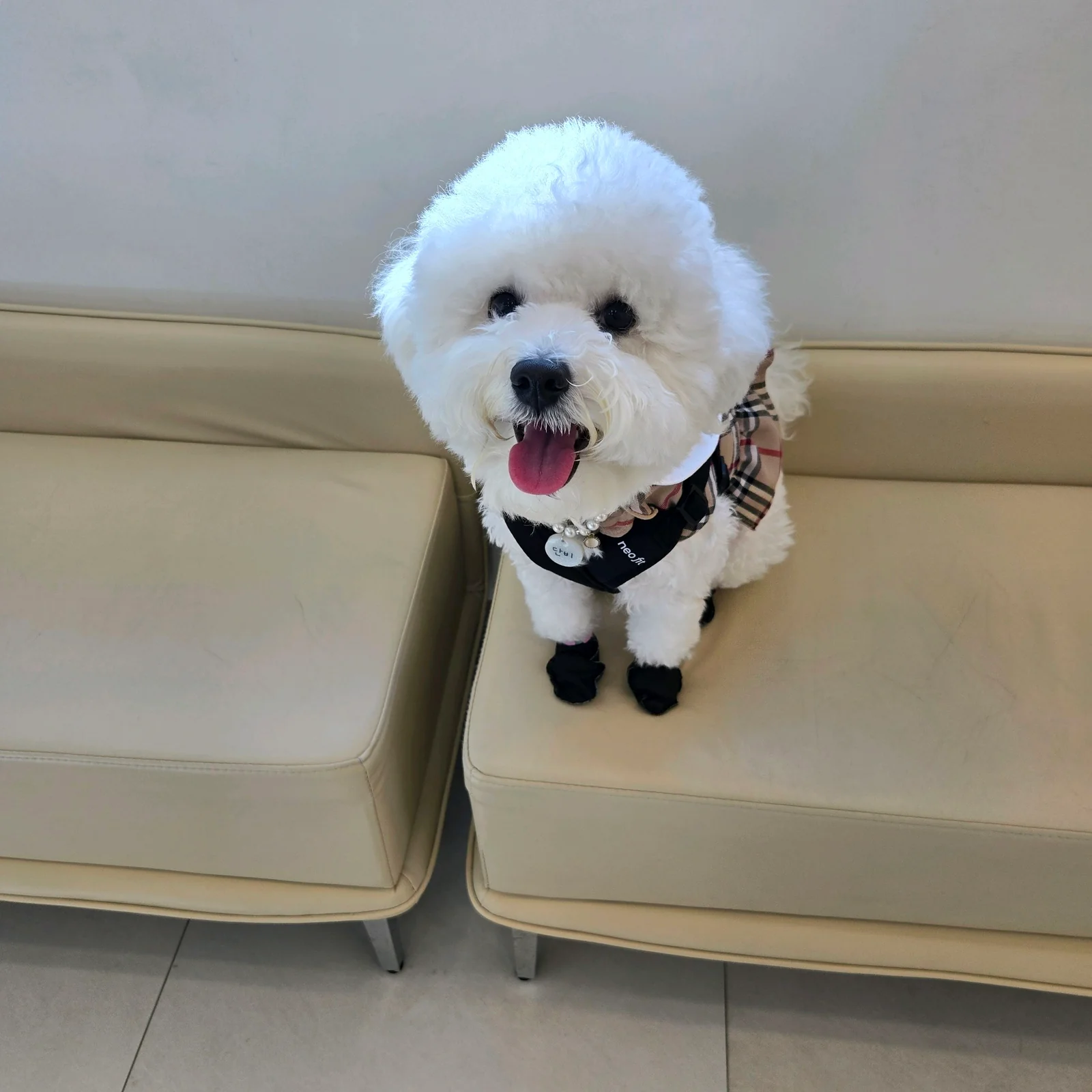 리뷰 사진 1