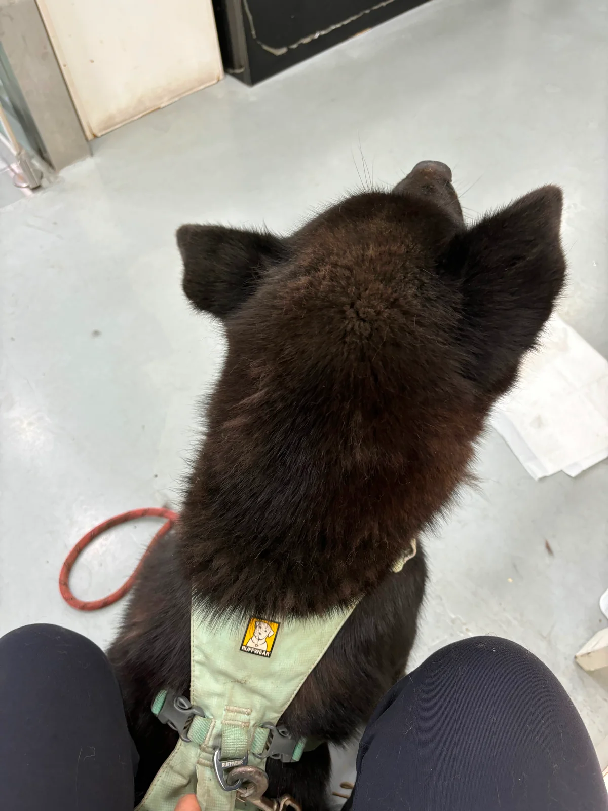 리뷰 사진 1