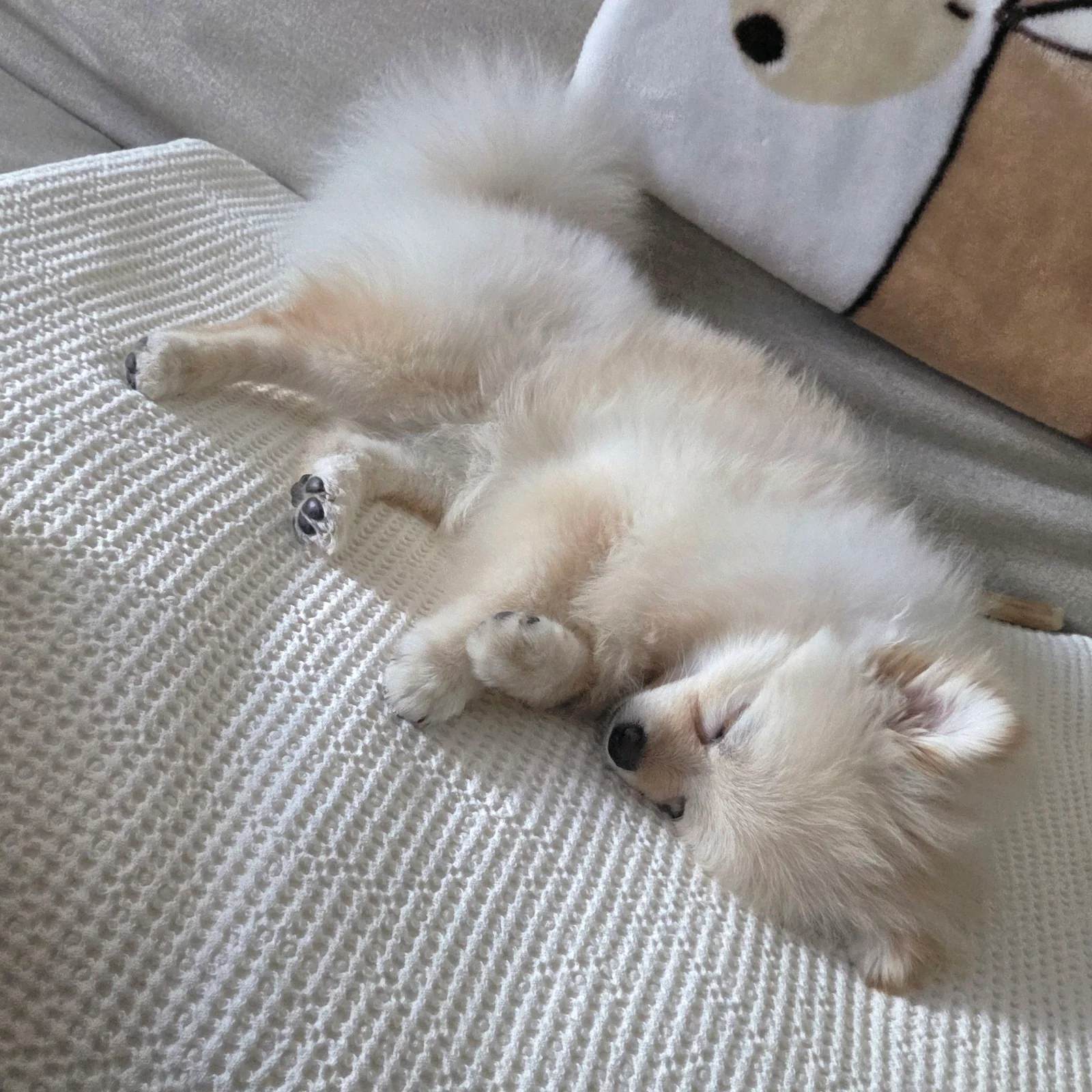 리뷰 사진 2