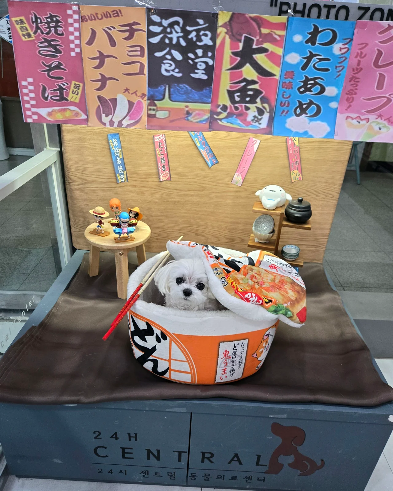 리뷰 사진 1