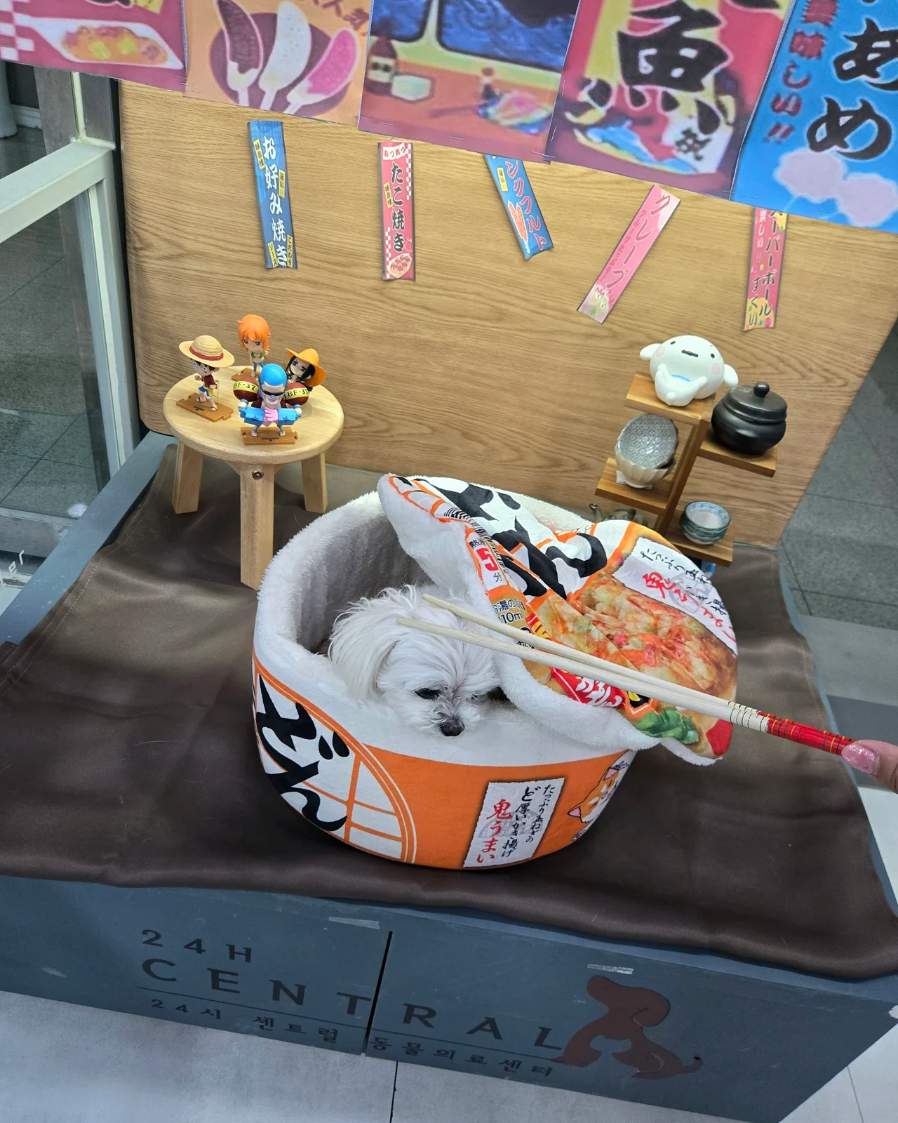 리뷰 사진 3