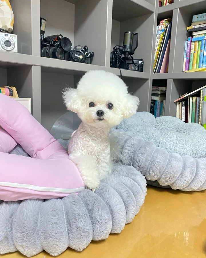 리뷰 사진 1