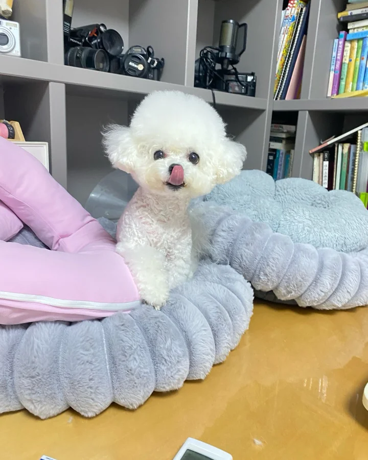 리뷰 사진 2