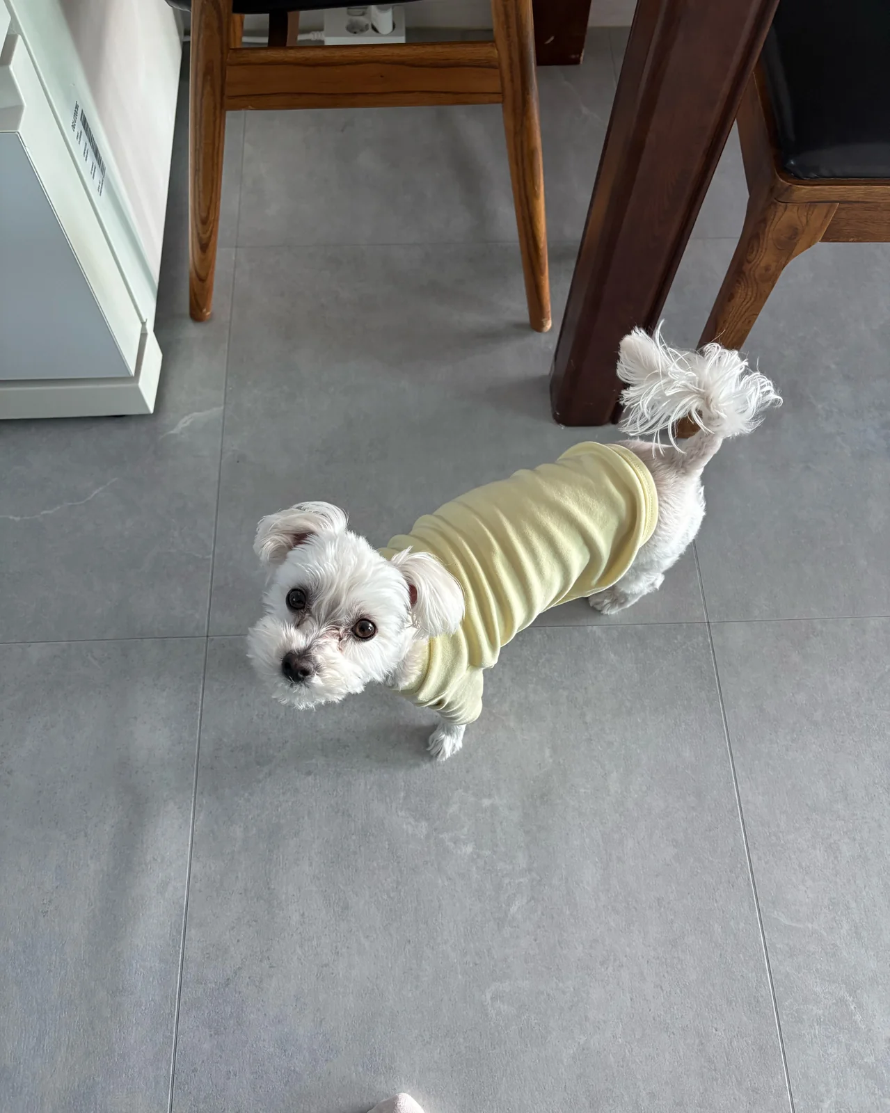 리뷰 사진 2