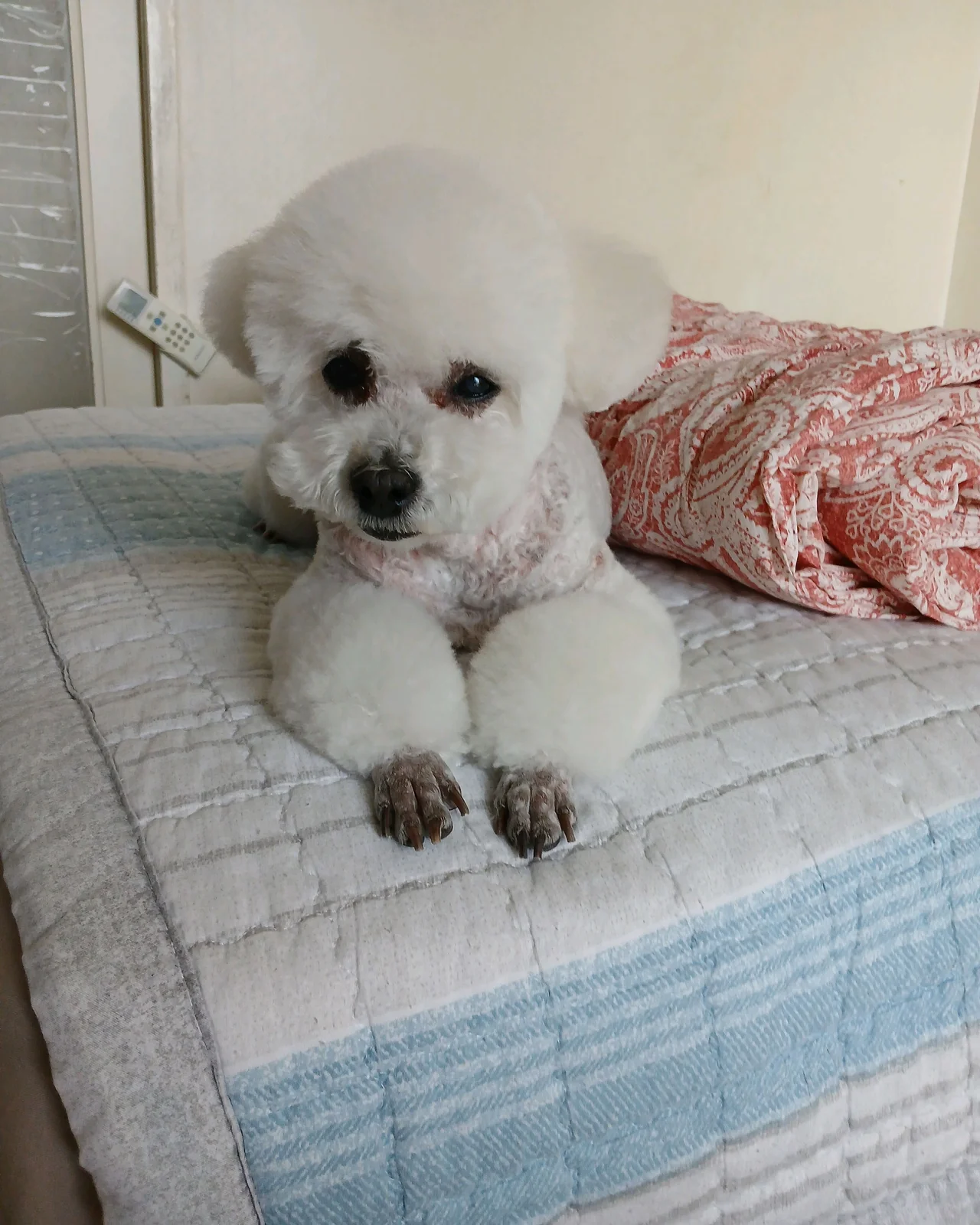 리뷰 사진 1