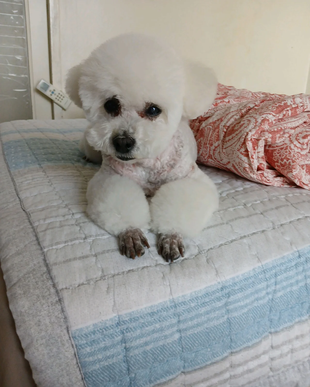 리뷰 사진 2