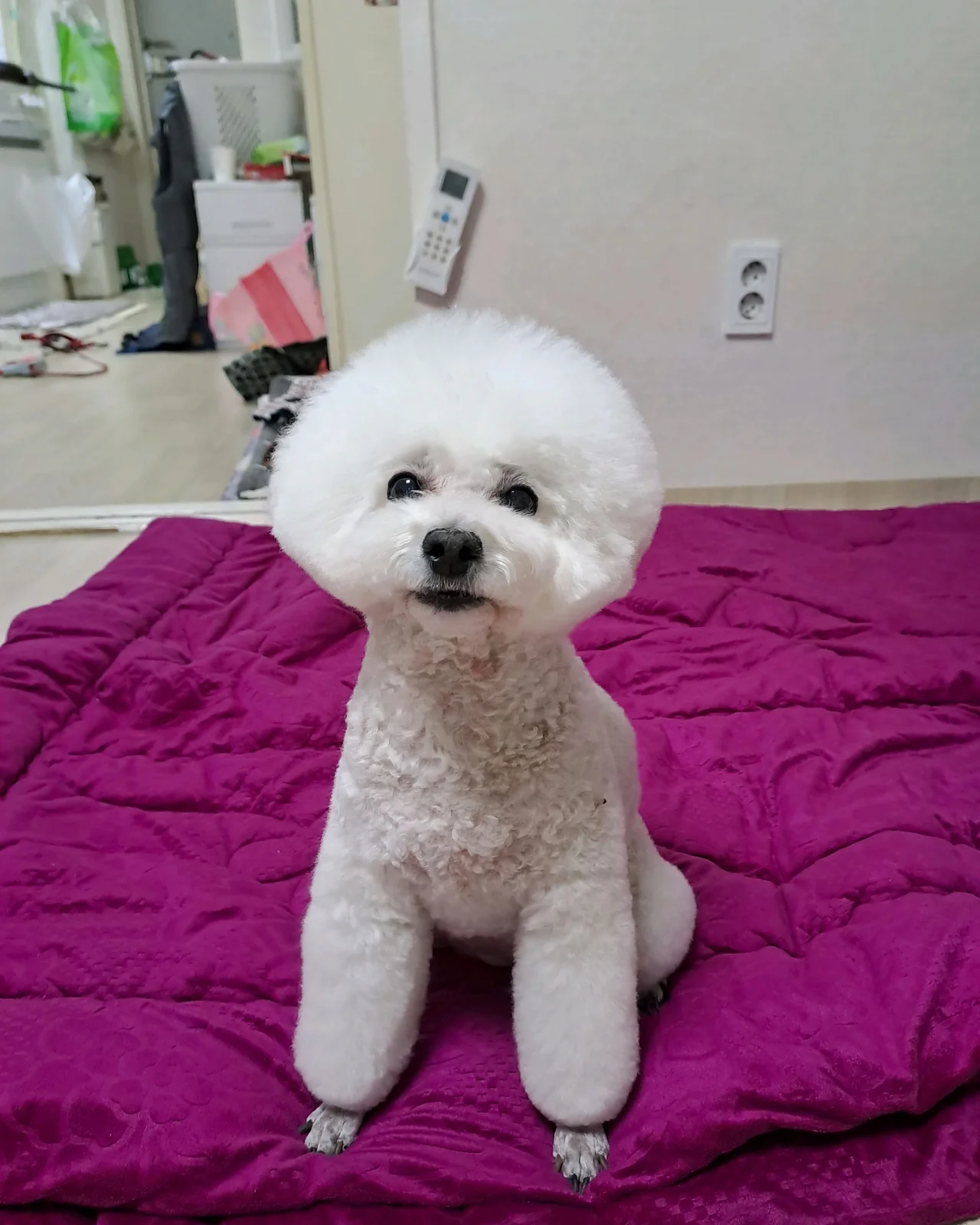 리뷰 사진 3